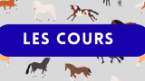 LES COURS D'ÉQUITATION
