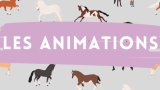 LES ANIMATIONS OUVERTES A TOUS
