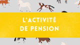 LES FORMULES PENSION